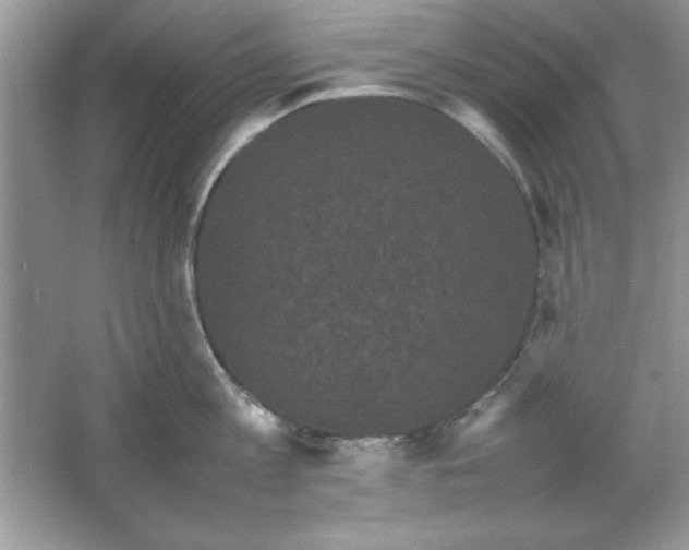 X0000061760813200512161742