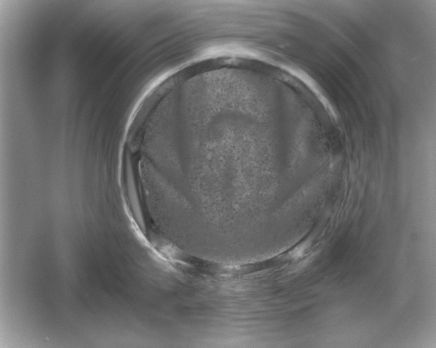 X0000061760815200512161742