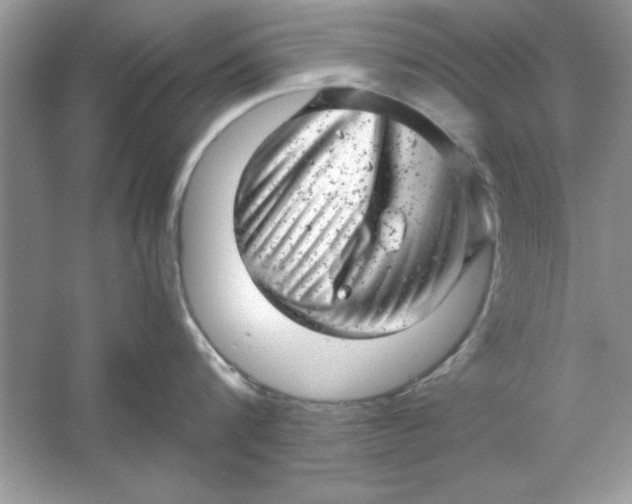 X0000061760816200512161742