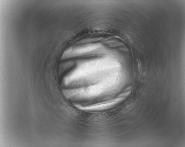 X0000061760817200512161741