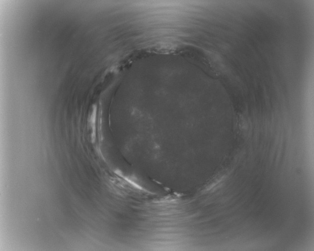 X0000061760818200512161741