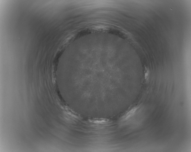 X0000061760819200512161741