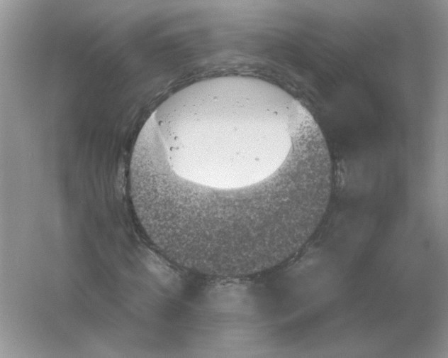 X0000061760820200512161741