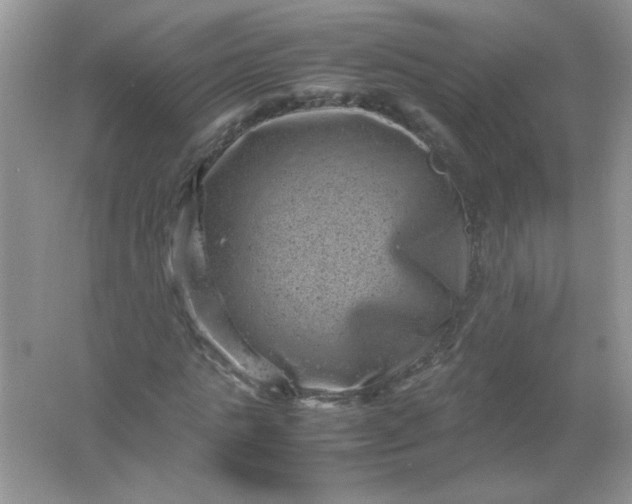 X0000061760821200512161741