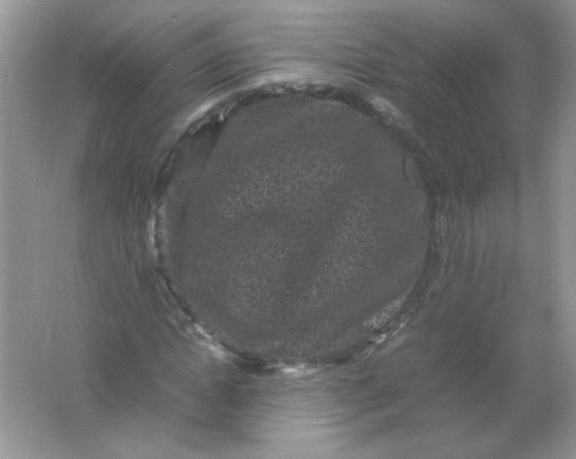 X0000061760822200512161741