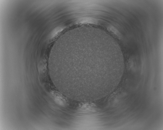 X0000061760824200512161741