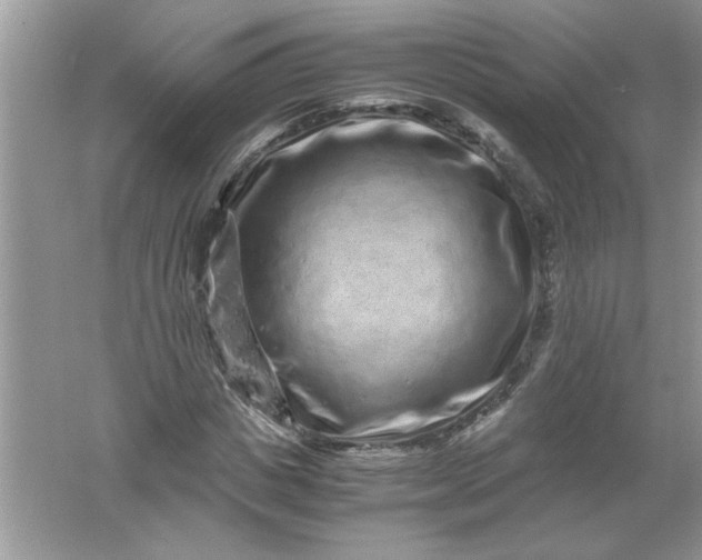 X0000061760825200512161741