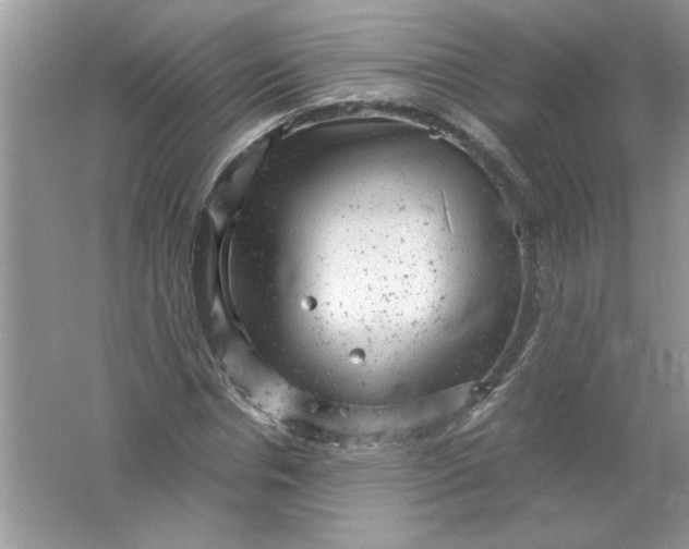 X0000061760826200512161741