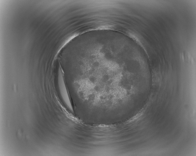 X0000061760827200512161741