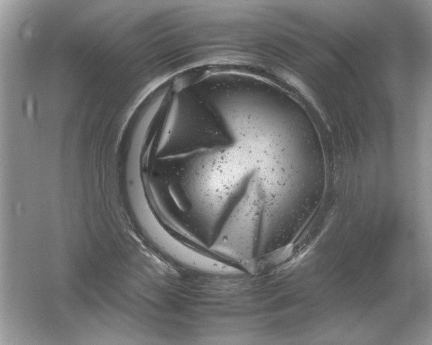 X0000061760829200512161741