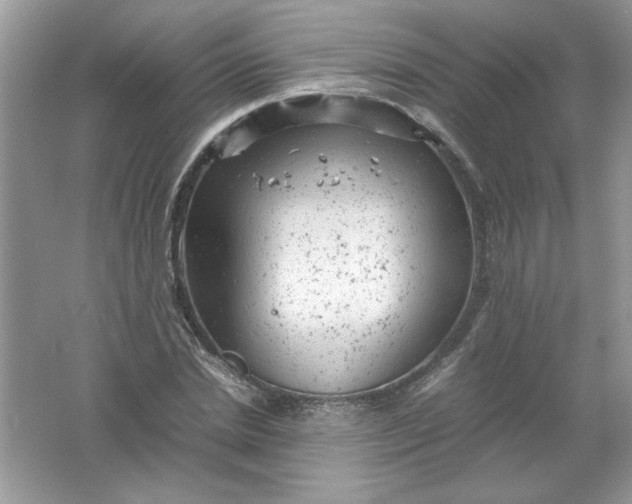 X0000061760830200512161741