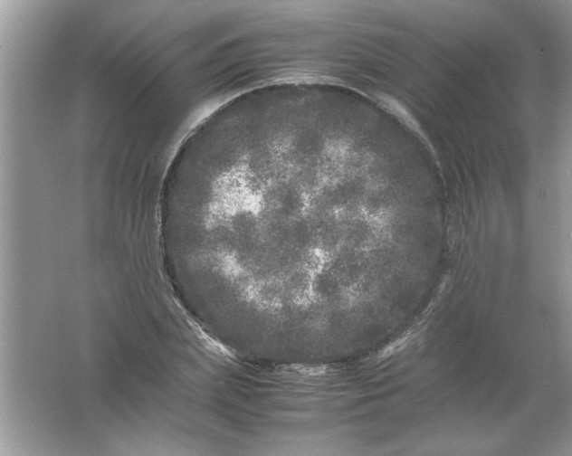 X0000061760831200512161741