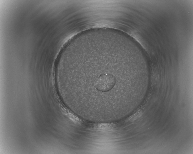 X0000061760832200512161741