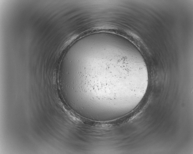 X0000061760833200512161741