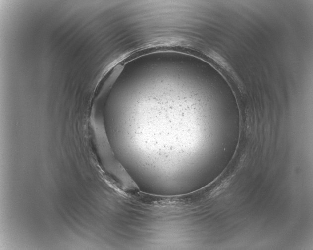 X0000061760834200512161741