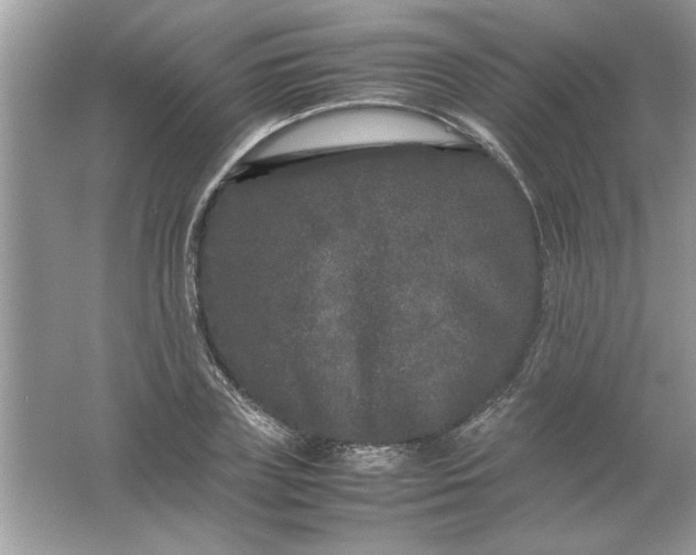 X0000061760835200512161741