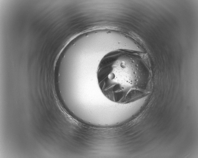 X0000061760836200512161741