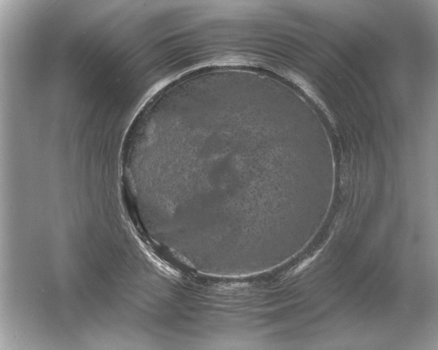 X0000061760837200512161741