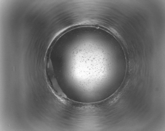 X0000061760838200512161741