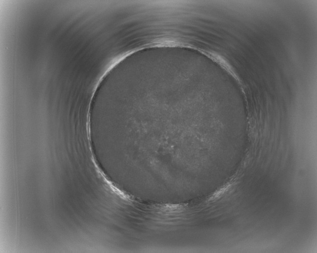 X0000061760839200512161741