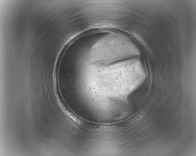 X0000061760840200512161741