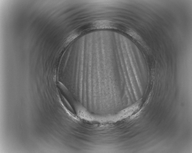 X0000061760841200512161741