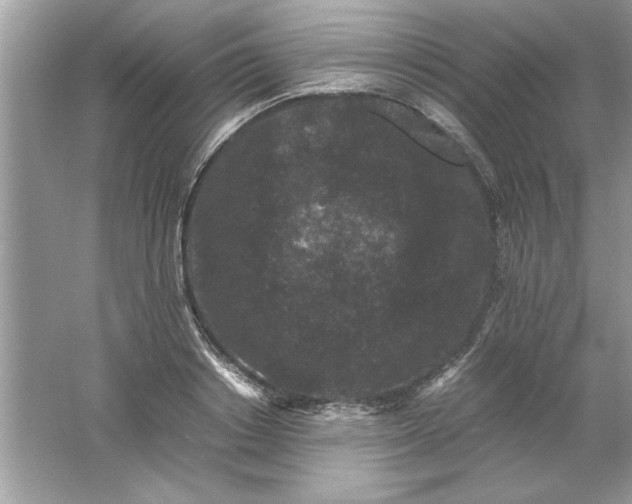 X0000061760842200512161741