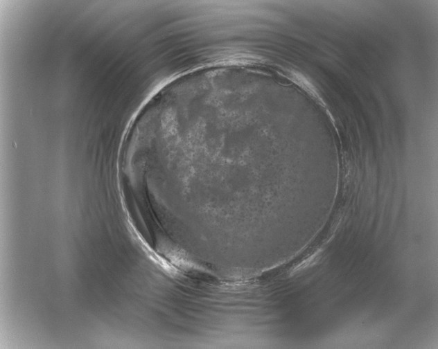 X0000061760843200512161741