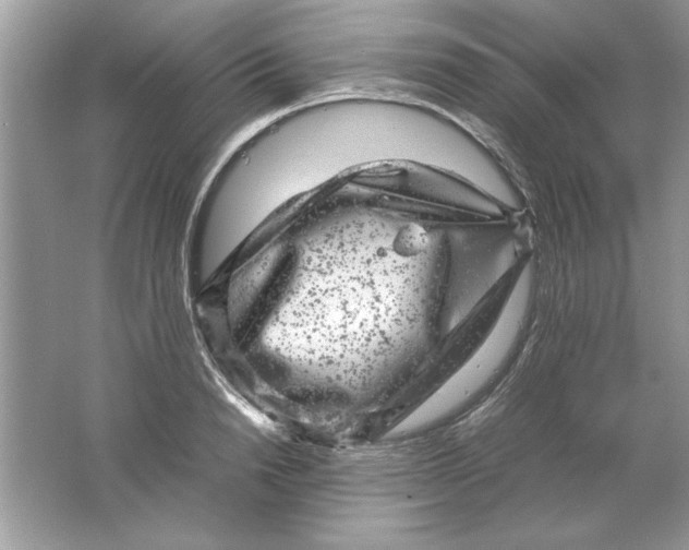 X0000061760846200512161741