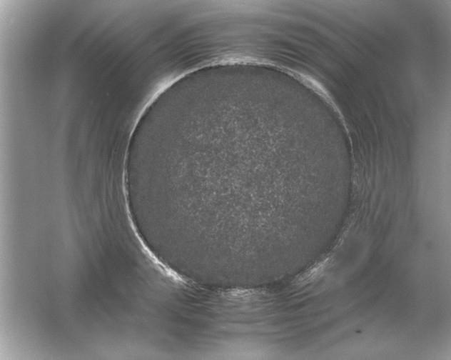 X0000061760847200512161741