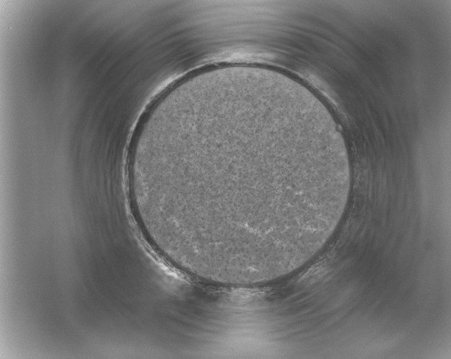 X0000061760848200512161741