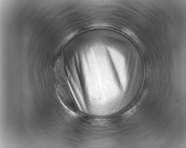 X0000061760849200512161741