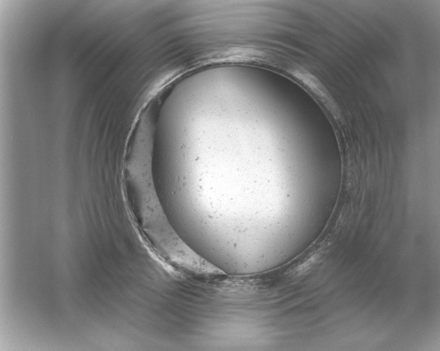 X0000061760850200512161741