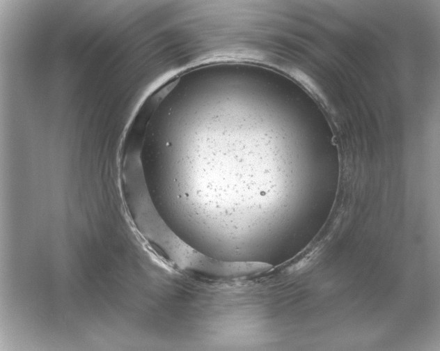 X0000061760854200512161741