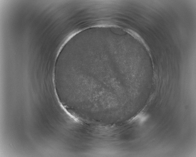 X0000061760855200512161741