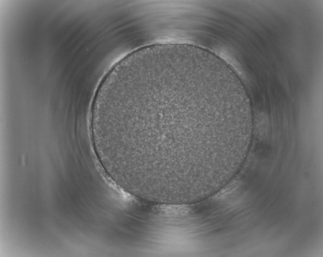 X0000061760856200512161741