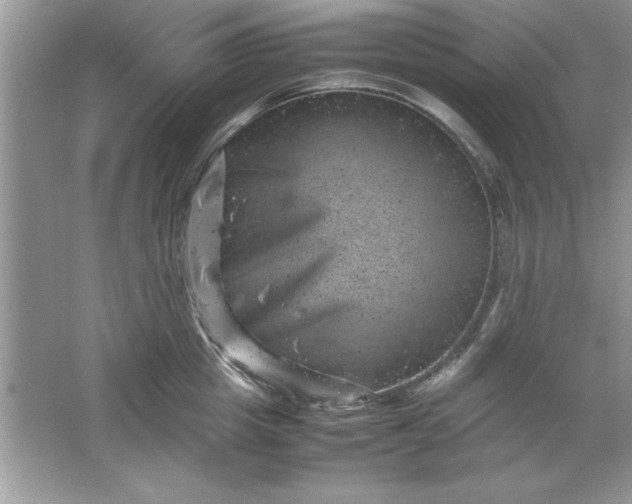 X0000061760857200512161741