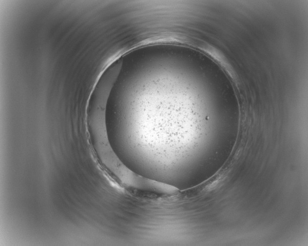 X0000061760858200512161741