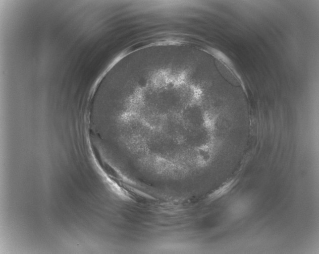 X0000061760859200512161741