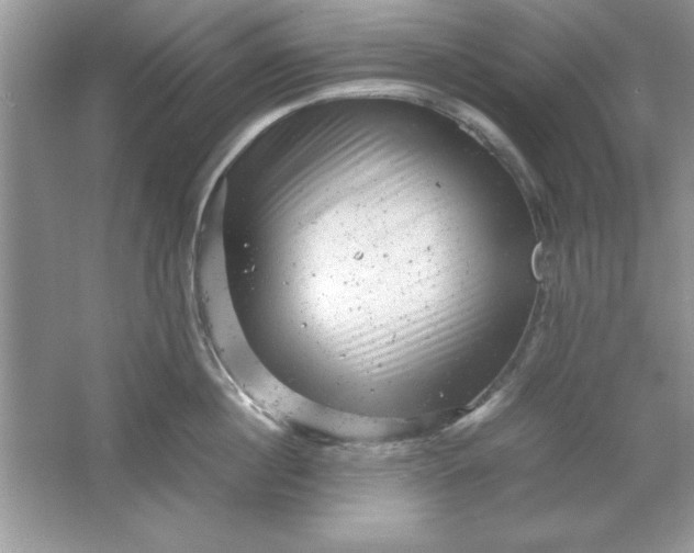 X0000061760860200512161741