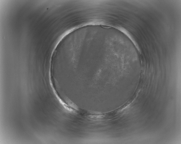 X0000061760861200512161741