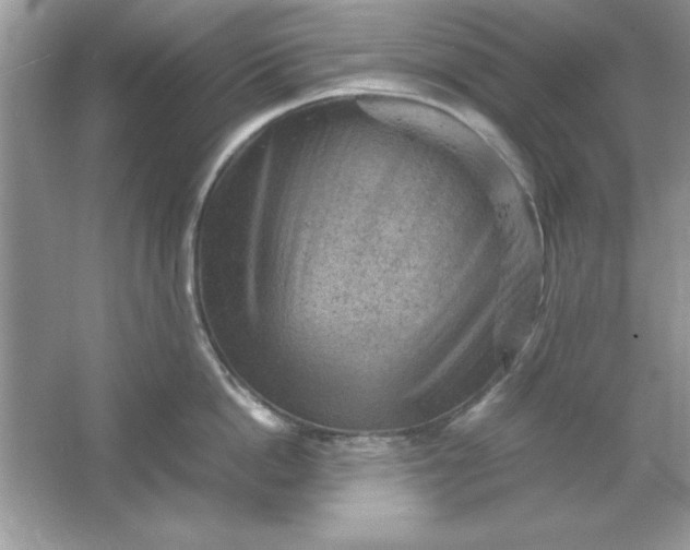 X0000061760862200512161742