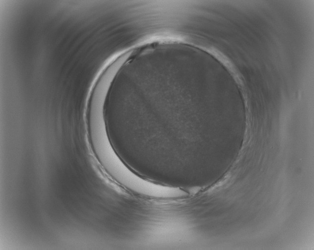 X0000061760864200512161742