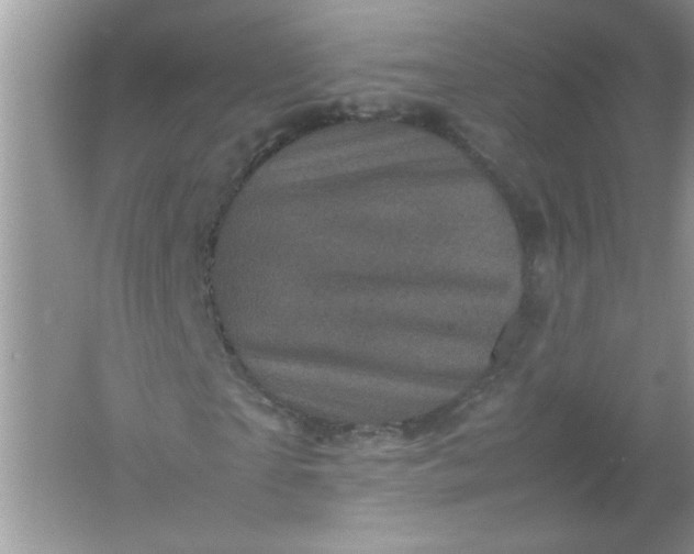 X0000061760865200512161741