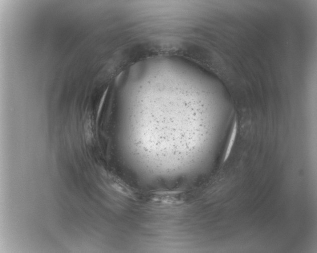 X0000061760866200512161741