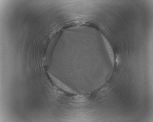 X0000061760867200512161741