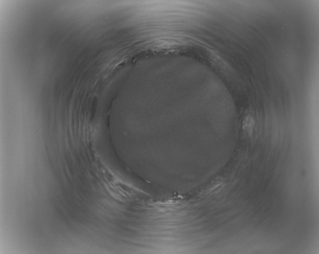 X0000061760868200512161741