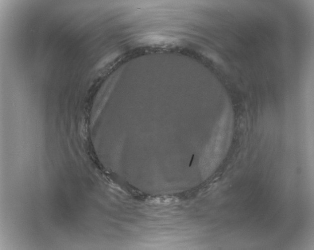 X0000061760869200512161741