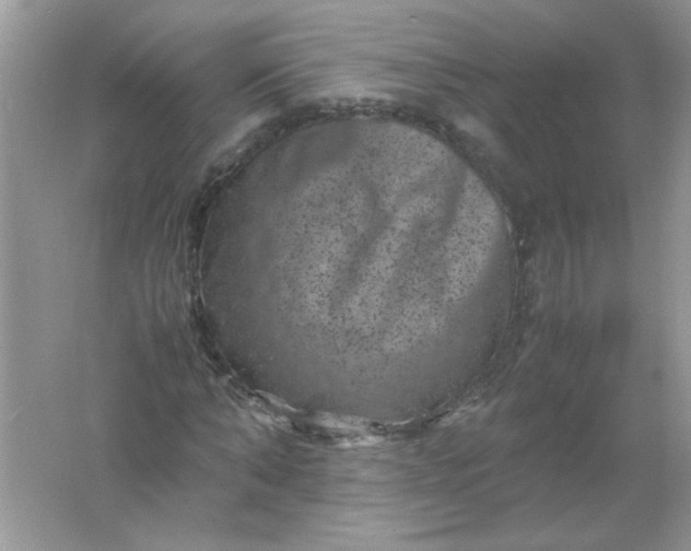 X0000061760870200512161741