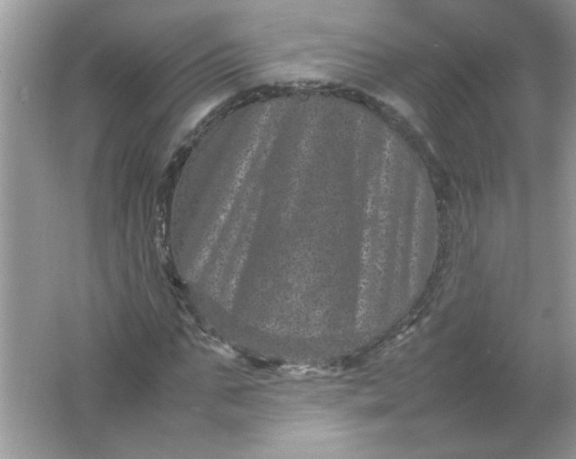 X0000061760871200512161741